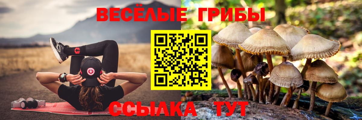 Галлюциногенные грибы MAGIC MUSHROOMS  Галлюциногенные грибы Psilocybe  Киров  Вход с VPN 