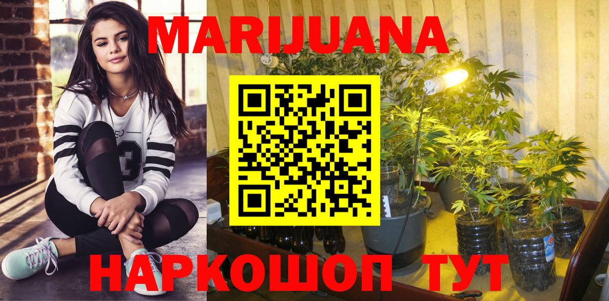 Бошки Шишки Bruce Banner  Вход с VPN  Конопля семена  Киров  Каннабис ГИДРОПОН 
